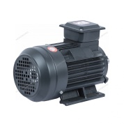 мотор 220в для ngt20