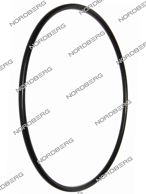 прокладка (170.8*5.33) цилиндра отжимного для 4638e nordberg x003545 (200-321)